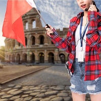 Drapeau de guide touristique de haute qualité distinctif, nouveau produit 2023, bâton télescopique extensible, mât de drapeau portable en acier inoxydable