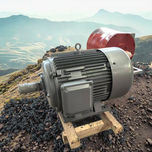 पवन ऊर्जा रूपांतरण के लिए एक स्थायी चुंबक जनरेटर - Product Image 6