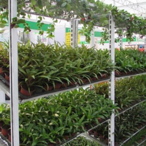 Bancs roulants verticaux hydroponiques, légumes, fruits et fleurs - Product Image 5