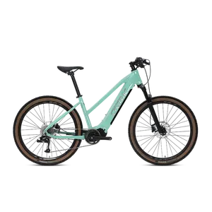 새로운 도착 전자 자전거 전기 모터 자전거 alu 합금 프레임 에어 서스펜션 전동 자전거 프레임 전기 하이브리드 도시 자전거