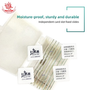 Glissière de microscope pour l'enseignement de l'observation des œufs fécondés d'Ascaris Equis avec plaque mitotique dans les cellules animales - Product Image 6