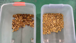 Macchina Automatica per la Selezione Cromatica di Castagne Essiccate, Separatore Intelligente CCD Compatto per Mandorle e Anacardi - Product Image 3