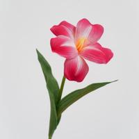 Fleurs artificielles en PU à toucher réel, tulipes artificielles pour Noël et mariage, fourniture d'usine