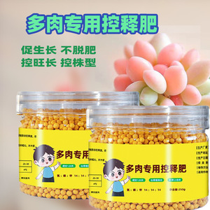 Succulent Controlled-release Fertilizer 250g Granular Long Lasting Plant Food - Product Image 5