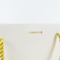 Sac d'expédition en papier kraft biodégradable et compostable à fond plat, fermeture sécurisée, épaisseur 2 mils, impression 4 couleurs CMYK pour vêtements