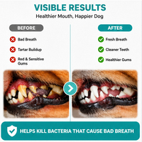 Spray buccal et bain de bouche comestibles pour chiens et chats, élimine le tartre et la plaque dentaire, rafraîchit l'haleine, personnalisable