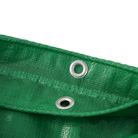 Bâche en PE laminé HDPE vert MILLION, imperméable, pour l'agriculture, l'industrie et les couvertures extérieures