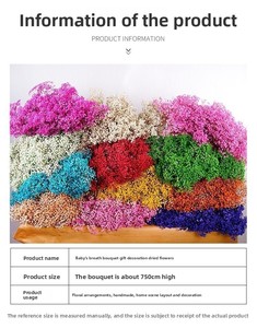 G180 Flores de Gypsophila Preservadas al por Mayor para Regalo de San Valentín, Flores Secas de Baby Breath, Baby Breath Preservado - Product Image 5