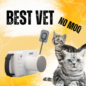 Équipement portable de radiologie buccale vétérinaire, système DR dentaire pour animaux, dentisterie vétérinaire - Product Image 2