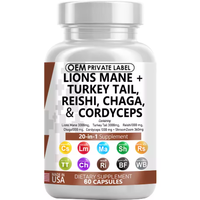 Capsules de poudre de champignon crinière de lion mélangées tout-en-un OEM pour le soutien immunitaire et la gestion de l'énergie chez l'adulte