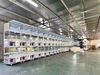 Vente en gros usine : Mini machine à griffes japonaise à monnayeur pour bonbons et peluches, petite machine à griffes pour jouets et poupées, économique