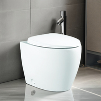 Salle de bain moderne au sol Cuvette de toilette en céramique blanche Ensemble WC