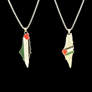 Palestina hanger, kaart van Palestina, vlag ketting, hoogwaardig metaal, gratis Palestina ketting hanger - Product Image 3