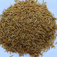 Fabrieksprijs Fijn Verwerkt Vogelvoer Made Vlieg Larven 100% Natuurlijke Proteïne Pellet Vorm Magnetron Gedroogd Voor Verkoop