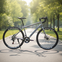 Vélo de route 700C en acier Hi-ten, 21 vitesses, freins à disque, pour adultes, prix compétitif, fabriqué en Chine