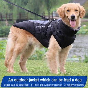 Reiß verschluss Baumwolle Warm New Supplies Bekleidung Kleidung Welpen kostüm Haustier kleine mittlere Hunde solide Haustiere Big Winter Luxus Hunde kleidung - Product Image 4
