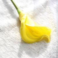 Fleur artificielle Calla Lily en PU souple, faite à la main, à tige unique, effet toucher réel, pour la décoration de table, de vase, de maison, d'hôtel, Fête des Mères 2026