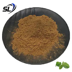 Mulberry Leaf Extract Powder 1% DNJ Powder 1-Deoxynojirimycin Powder