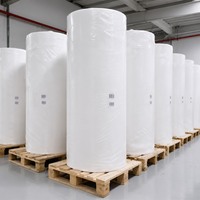 Étiquettes d'emballage en plastique autocollantes imperméables en rouleau jumbo BOPP PET synthétique thermique brillant/transparent/argenté, marque blanche