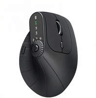 Souris verticale sans fil ergonomique 2,4 GHz BT RGB, double mode, silencieuse, pour ordinateur portable, bureau et jeux