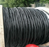 Cable Aéreo de Aluminio Trenzado, Aislamiento de XLPE y PVC, 600V/0.6kV, Retardante de Llama, 6mm, para Alumbrado Público Municipal