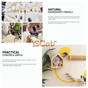 2025 <span class=keywords><strong>Custom</strong></span> Indoor Kattenbed Meubels Premium Milieuvriendelijk Hout En <span class=keywords><strong>Plastic</strong></span> Dierenhuis Voor Honden En Katten - Product Image 5