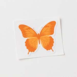 Impresión personalizada Producto farmacéutico saludable Punto Uv Botella Pegatina, Rollo de etiquetas de suplementos nutricionales mate - Product Image 5