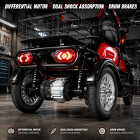 Tricycle électrique pour adultes, scooter à 3 roues, batterie au plomb-acide 60V 20Ah, écran LCD, pneus à vide 300-8, mobilité pour personnes âgées