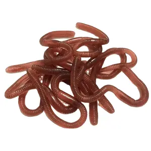 hot selling earthworm insect model trick toy soft stretchy realistic worms toy for kids