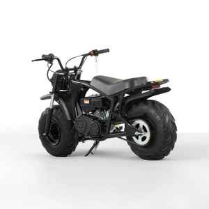 फरन 212 सीसी वयस्क मिनी बाइक 4-स्ट्रोक ऑफ-रोड क्वाड, सीसेट ट्रांसमिशन गैस के साथ सभी-इलाके वाहन - Product Image 5