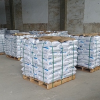 Nouveau metabisulfite de sodium de l'industrie alimentaire (Na2S2O5) 200g feuille enduite de granule chimique marché de raisin arabia cricket poudre liquide
