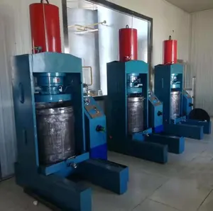 Línea especial de extracción de aceite de aguacate, prensa hidráulica, 550 kg/h, gran oferta