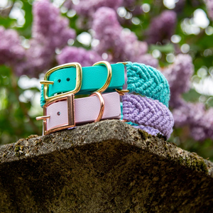 <span class=keywords><strong>Collar</strong></span> ajustable para adiestramiento de perros con correa de PVC estilo trenzado para mayor comodidad y estilo <span class=keywords><strong>Collar</strong></span> para mascotas - Product Image 2