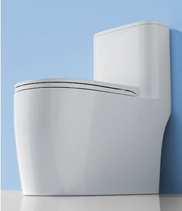 โถสุขภัณฑ์เซรามิกขนาดเล็กกะทัดรัด ระบบ Washdown สำหรับระเบียงห้องน้ำ - Product Image 3