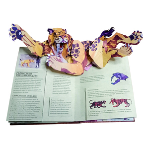 Vente en gros d'images réelles pour enfants, <span class=keywords><strong>livre</strong></span> éducatif français personnalisé 3d Pop Up - Product Image 4