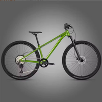 13,7 kg leichtes Offroad-Mountainbike, Lockout-Federung, Shimano 9-Gang, hydraulische Scheibenbremse