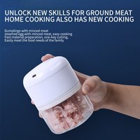 250Ml Chopper Multifunctionele Vleesmolen Stamper Machine Mini Knoflook Groente Chopper Usb Opladen Elektrische Knoflook Stamper