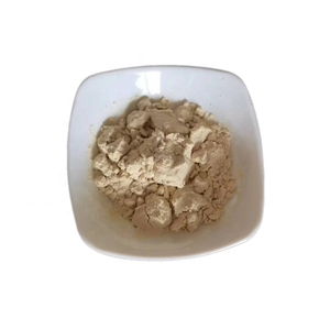Aislado de Proteína de <span class=keywords><strong>Haba</strong></span> Orgánica de Alta Calidad en Polvo, Grado Alimenticio, Extraído de Semillas, Empacado en Bolsa o Tambor - Product Image 1