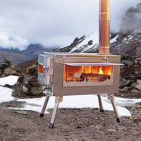 Poêle de sauna portable pliable à bois - Bois de chauffage et charbon de bois en acier inoxydable titane pour le camping et le chauffage extérieur
