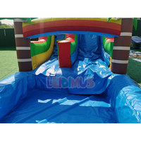 Toboggan aquatique gonflable tropical Dauphin et Palmier avec piscine, pour enfants et adultes, usage commercial et jardin