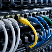 Kabel Patch Cat6 Cat6A LSZH RJ45 CCA UTP FTP SFTP LAN Ethernet Jumper OEM Kustom Grosir untuk Visi Mesin dan Telekomunikasi