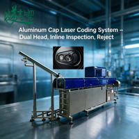 Marqueur laser à fibre double tête à alimentation automatique pour capuchons en aluminium, avec inspection CCD et système de rejet automatique pour machines à codes QR
