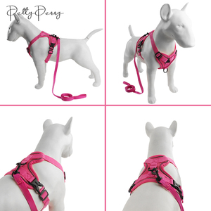 Laisse-harnais en nylon à rayures multicolores et respirante pour animaux de compagnie-robuste, durable et antidéflagrante - Product Image 3