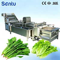Machine de nettoyage à bulles d'air robuste avec système de lavage à circulation d'eau pour le traitement des légumes, des fruits et des fruits de mer frais