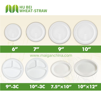 Assiettes Rondes Biodégradables en Pulpe de Bagasse de Canne à Sucre de 8 Pouces pour Fêtes, Mariages, Anniversaires et Traiteur
