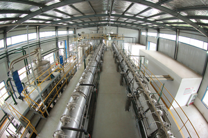 Fabrika doğrudan toptan doğa sağlık ürün bitki özü scutel90% baibaisis özü <span class=keywords><strong>Baicalin</strong></span> - Product Image 6