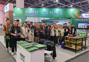 ForestShipping, Servicios de Inspección Económicos, Envío Internacional Express, Dropshipping, Envío Puerta a Puerta, Consolidación de Carga China-Pakistán, <span class=keywords><strong>Ama</strong></span> - Product Image 6