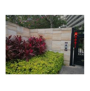 Aangepaste Project Natuurlijke Zout Wit Graniet G603 Exterieur Decoratieve Gevelbekleding Paddestoel Steen - Product Image 3