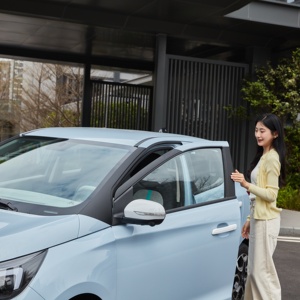 Vehículo Eléctrico <span class=keywords><strong>EV3</strong></span> Nuevo, Sedán LHD de 4 Plazas, con Batería de Litio, Alta Velocidad, Autonomía de 290 km, <span class=keywords><strong>Motor</strong></span> de 50KW - Product Image 4