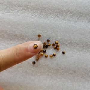 3/4/6/8/10/12/14-16mm batu permata bulat Cabochon datar belakang batu permata Cabochons Flatback Cabs untuk membuat perhiasan - Product Image 4